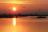 1-Sunset-Borsodi-dűlő habitat reconstracted area-GI