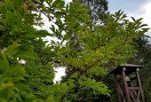              
