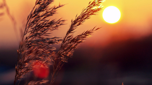 A Fertő-táj szépségei 