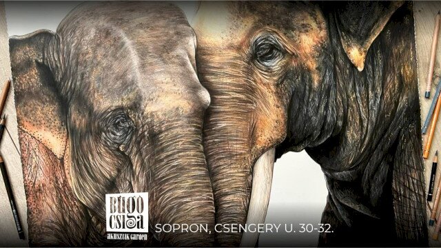 Audrey Blanc kiállítása