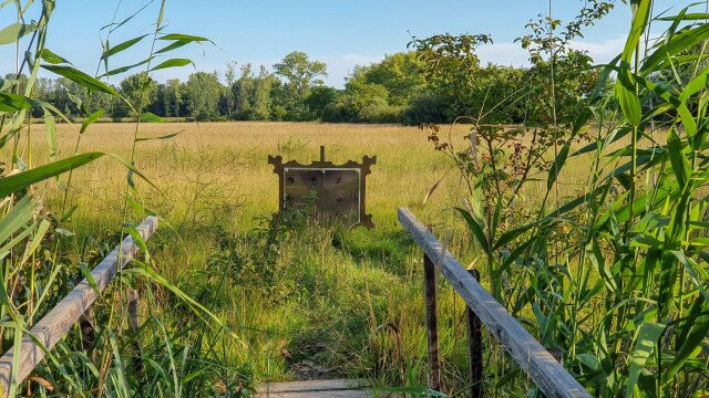 Békakonty tanösvény