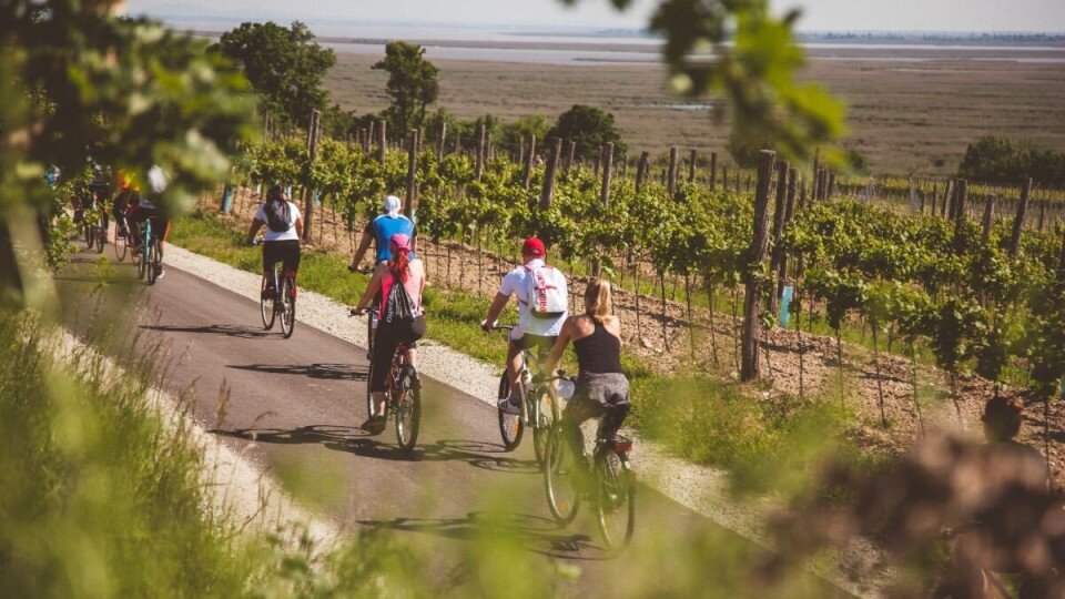 Blaufränkisch Fahrrad Rundtour