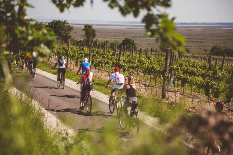 Blaufränkisch Fahrrad Rundtour