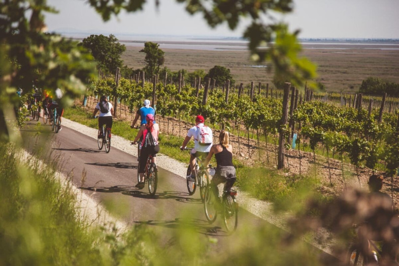 Blue Frankish Bicycle Tour