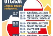 Borok Utcája Hegykő 2024