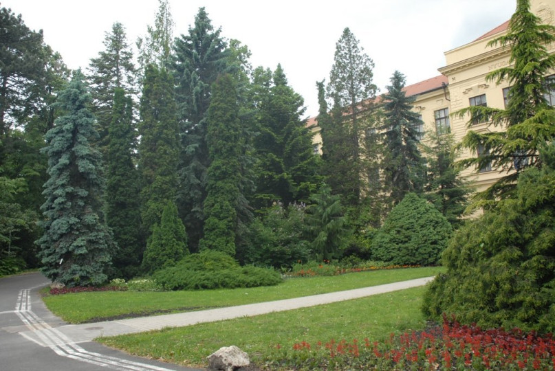 Botanical Garden