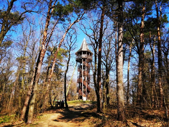 Castle Hill Lookout Tower