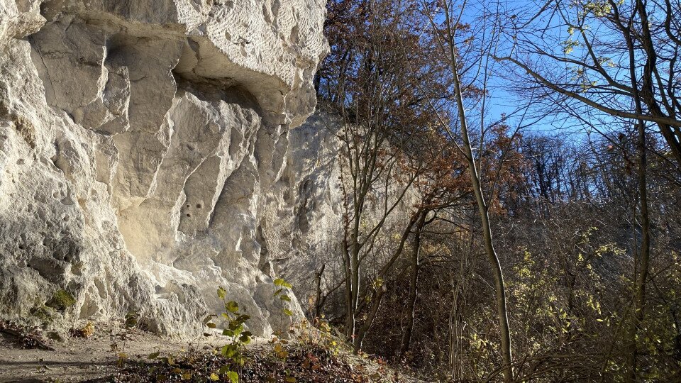 Fehér-barlang a Szárhalmi-erdőben