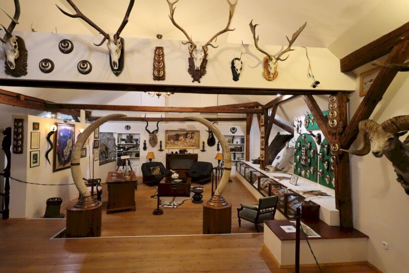 Forestry Museum