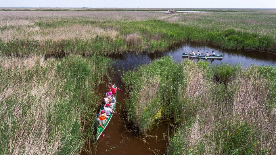 Guided canoe tours on the Vízi Rence (Common Bladderwort) Route