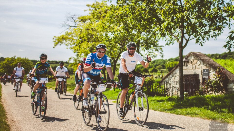 Guided cycling tours 