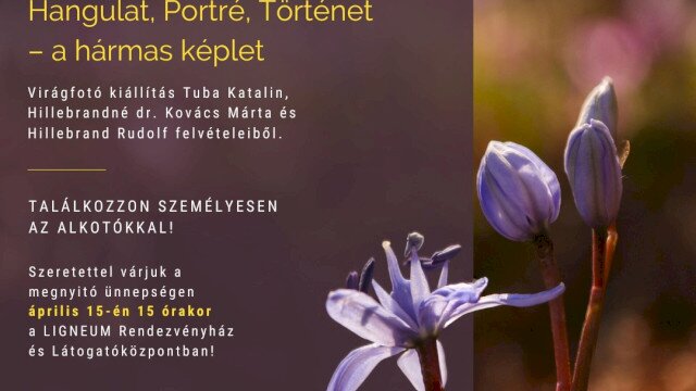 Hangulat, portré, történet – a hármas képlet - virágfotó kiállítás