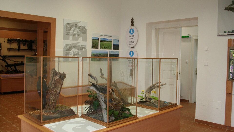 ​Hanság Ausstellung (Lebewelt des Hanság) in Öntésmajor