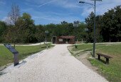 IMG_0049