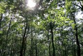 IMG_20200708_164905