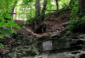 IMG_20200708_173736