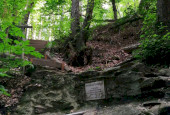 IMG_20200708_173736