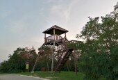 IMG_20200911_185917