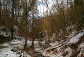 IMG_20210109_111251