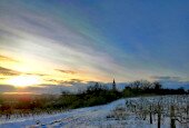 IMG_20210211_111105 (1)
