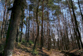 IMG_20210327_113151