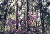 IMG_20210405_183908