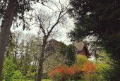 IMG_20210421_222341