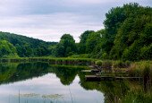 IMG_2293