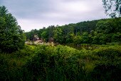 IMG_2295