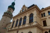IMG_2318