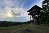 IMG_2868