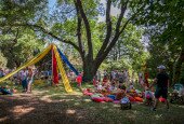 IMG_3229 copy