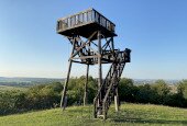 IMG_3420