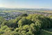 IMG_3422
