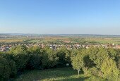 IMG_3423