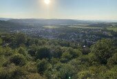 IMG_3428