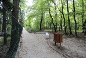 IMG_5356