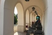 IMG_6895