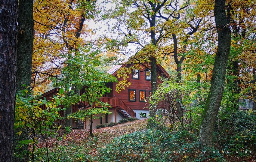 Kőhalmy Tamás Hunting Museum