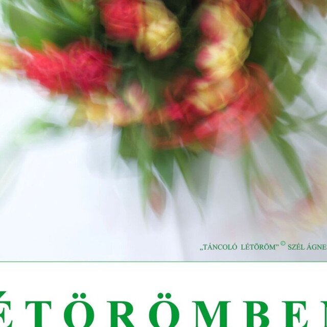 "LÉTÖRÖMBEN" - Szél Ágnes fotóművész kiállítása