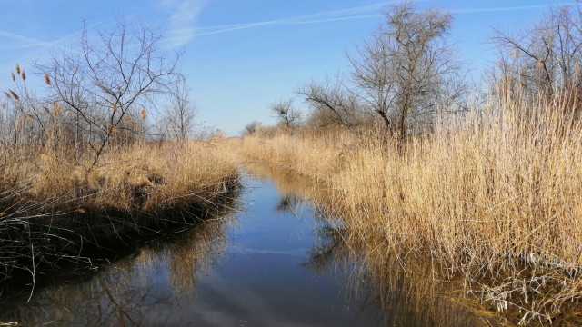 Nádak útján tanösvény