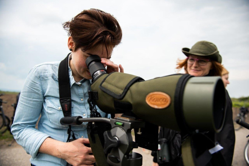 Naturexperiences with bird watching