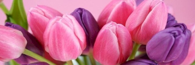 Nőnapi programajánló