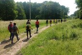 Nordic Walking Sopron