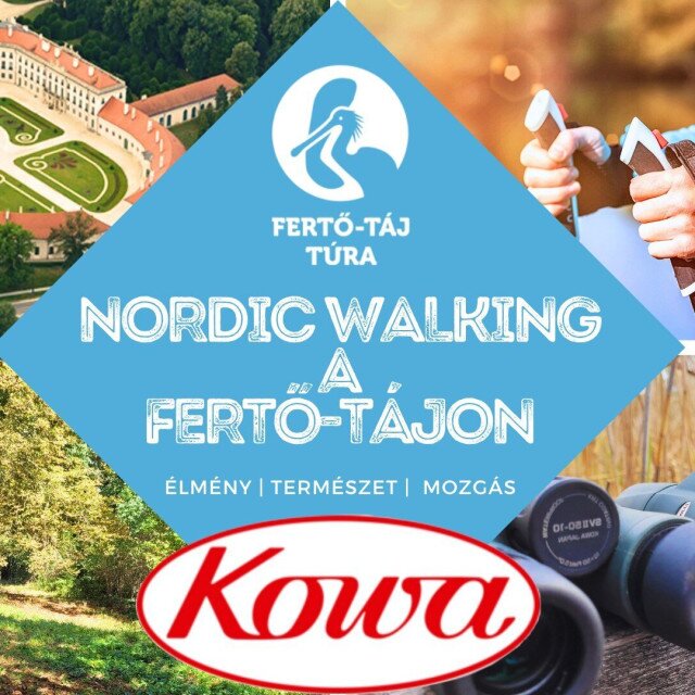 Nordic walking túrák a Fertő-tájon