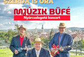 nyarcsalogato-koncert