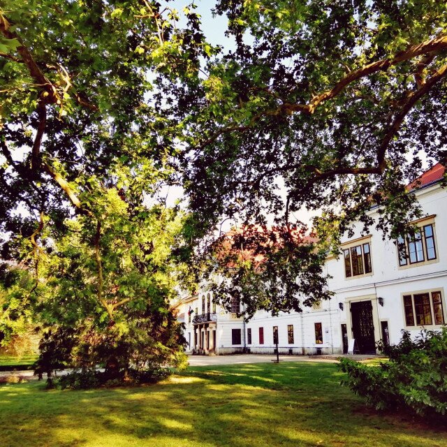 Palace Park and Linden Alley in Nagycenk