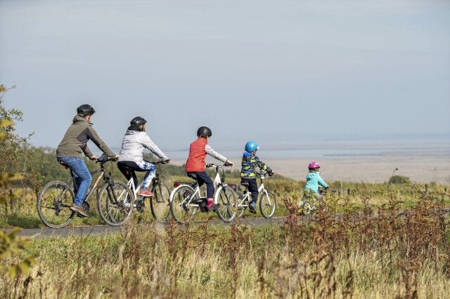 Panorámás biciklitúra a Fertő-tájon