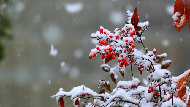 Programajánló a téli szünetre