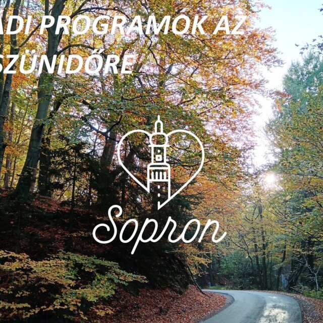 Programajánló az őszi szünetre